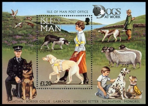 BORDER COLLIE LABRADOR DALMATIAN GSD DOG STAMP MINI SHEET Isle of Man 1996 Mint - Picture 1 of 1