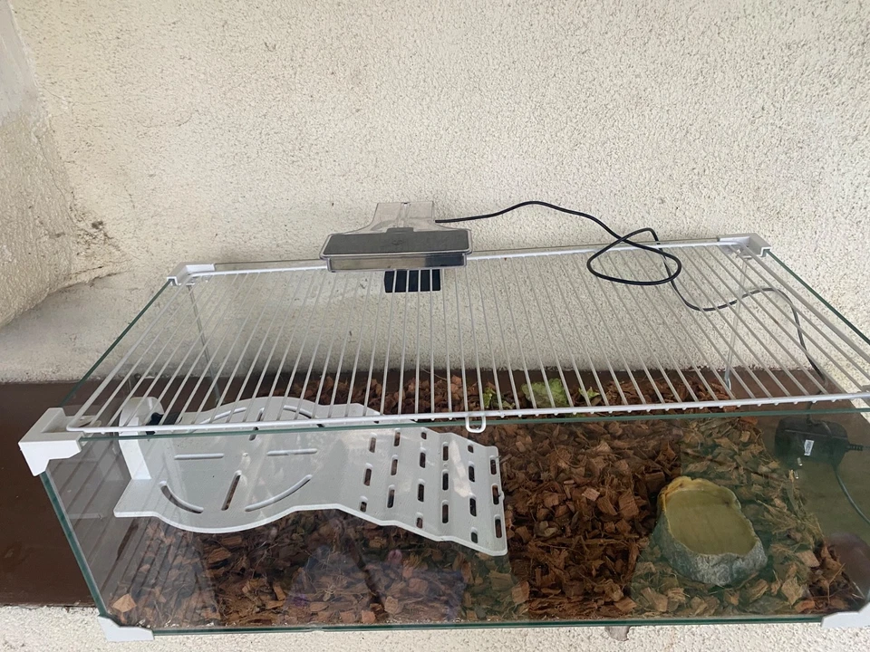 terrarium tortue de terre ou de mer  - Photo 1/1