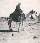 ALEP c. 1940 - Caravane Chameaux Syrie - NV 1791