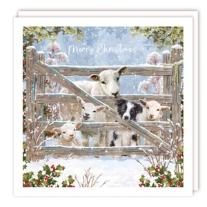 Medium Christmas Cards  On the Other Side Matt Finish - Box of 10 - Picture 1 of 2