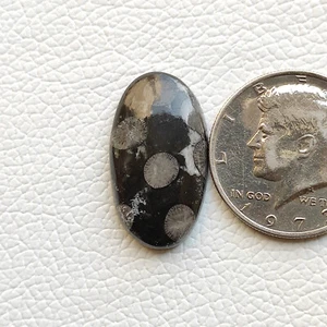 Natural black fossil coral cabochon bryozoan fossilized coral gemstone R11728 - Picture 1 of 5
