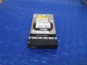 Avid ISIS 5500/5000 WD 4TB 7050-30113-00 9900-65518-00 HDD WD4000FYYZ mit Caddy - Bild 1 von 8