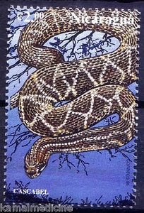 Cascabel, Klapperschlange, Reptilien, Schlangen, Nicaragua 1999 postfrisch - Bild 1 von 1