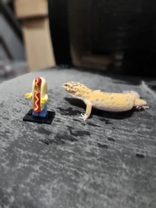 Lego Minifigura de Alta Calidad - Hot Dog Man - Imagen 1 de 6