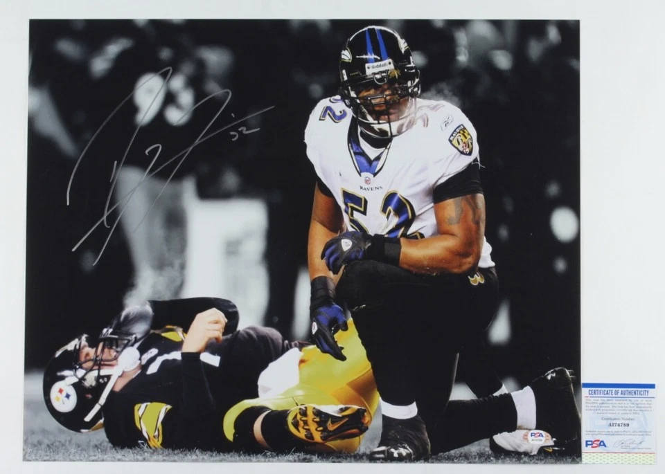 Ray Lewis Signed Ravens 16x20 Photo (PSA) - C - Image 1 of 1