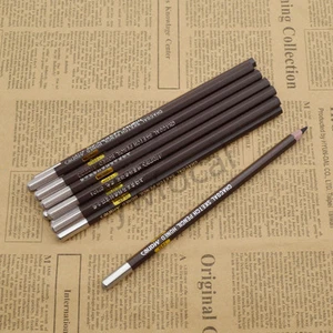 14B Carbon Black Pencil Charcoal Drawing Sketch Artist Paint Craft Professional - Imagen 1 de 9