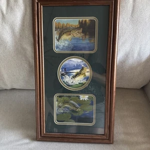 Bass Fish 3 in 1 Picture Wood Frame Under Glass Navy Matte Wall Decor - Picture 1 of 8