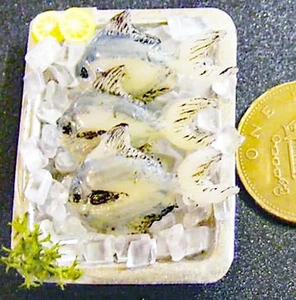 Casa de Muñecas Peces D x 3 Fijo En Una Bandeja Con Hielo Escala 1:12 Accesorio Tumdee - Imagen 1 de 7