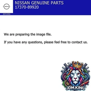 Nissan Genuine 300ZX Z32 1990-1991 Fuel Check Valve Assy 17370-89920 OEM JDM - Picture 1 of 1