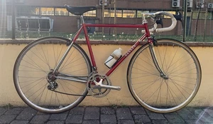 Racing Bicycle Vintage Steel Bassan 1981 campagnolo New record Road Bike - Picture 1 of 7