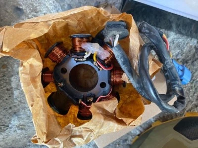 Estator y regulador beta de 2015 Beta 300RR - Funcionó cuando se quitó Foto 1 de 4