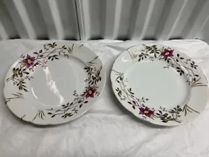 Spring Pattern Dinner Plate Gold Rimmed Fine China USA 9 1/2" - Picture 1 of 4