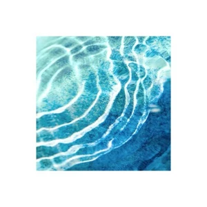 Impresión En Lienzo En Papel Póster O Cuadro Olsen Maggie Ripple Reflection II - Imagen 1 de 2