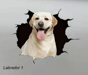 GROSSE AUTOAUFKLEBER - LABRADOR - 2 ZUR AUSWAHL - Bild 1 von 5