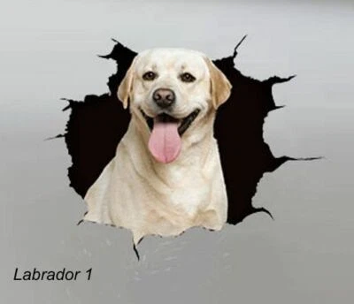 LARGE-SIZED CAR DECALS - LABRADOR - 2 CHOICES - Image 1 of 3