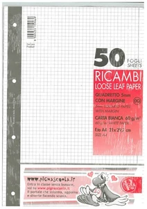RICAMBIO QUADRETTI 5mm CON MARGINE (rigatura Q) 10 PEZZI, 10 RICAMBI FORMATO A4 - Bild 1 von 1