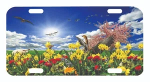 Spring Flowers License Plate Auto Tag - Picture 1 of 1