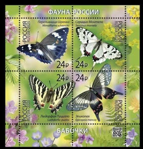 RUSSLAND 2025 FAUNA Tiere. Insekten Schmetterlinge - S/S postfrisch - Bild 1 von 1