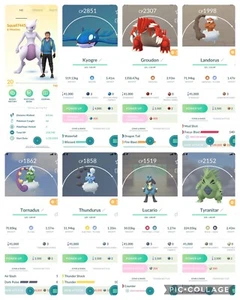 Pokemon Go Lv20| Mewtwo Kyogre Groudon Lucario Thundurus Tornadus Landorus - Picture 1 of 2