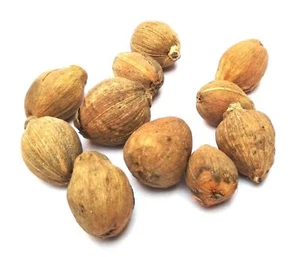 25 Pieces + 1 Free Laghu Nariyal Coconut Pieces To Increase Business Energized - Foto 1 di 1