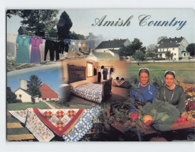 Postcard Amish Country Pennsylvania USA - Image 1 of 2