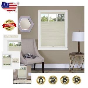 Alabaster Light Filtering Window Shades - 36"W x 64"L Cordless Honeycomb Blinds - Picture 1 of 9