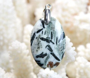Hornblende & Granat 36 Karat - Anhänger Cabochon Stein Natürliche - Österreich, - Picture 1 of 2