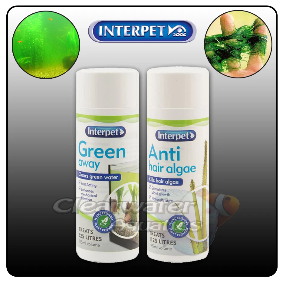 Interpet ANTI HAIR ALGAE Green Water AQUARIUM Treatment Fish Tank Stringy Beard - Image 1 of 1