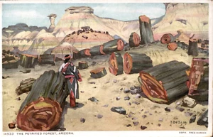 The Petrified Forest, Arizona Fred Harvey Phostint Postcard Harold Betts - Picture 1 of 2
