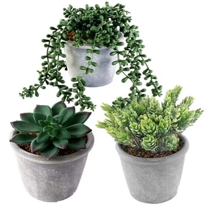 3 Pcs Artificial Succulents Potted Plants Assorted Fake Succulents Potted for... - Picture 1 of 6