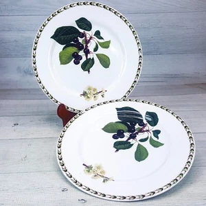 Vintage 2pc Queen's Hookers Fruit 8.5" Salad Plate Berries Horticultural Society - Picture 1 of 8