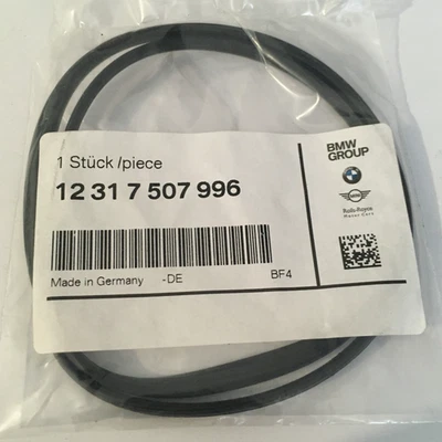BMW Genuine Alternator Gasket Ring Water Cooled Fits E39 E38 E65 E66 12317507996 - Image 1 of 4