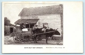 POSTCARD Safe But Not Speedy Oxen Cart Mellen Photo Co Aunt Charlotte Humor - Picture 1 of 2