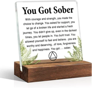 You Got Sober Büro Wohndeko Schild, inspirierende Acryl Schreibtisch Holz Plakette, so - Bild 1 von 6