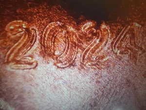2024-P Lincoln Shield Cent DDO/DDR (UNC) See Photos. Hottest Find Of The Year. - Picture 1 of 18