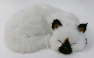 Sleeping Life Like Realistic Persian Cat - Picture 1 of 3