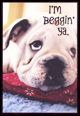 Greeting Card - Bulldog Dog Puppy - Get Well - 0439 - Image 1 of 2