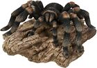 Vivid Arts Real Life Tarantula On Log   Size D
