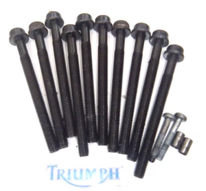 Triumph Tt 600 TT600 Tornillos de Culata como Se Muestra 2001 - Imagen 1 de 7