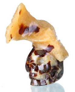 4,06 Zoll natürliche Geode septarischer Kristallschädel/Kopfschnitzerei Sammlerstücke 0V30 - Bild 1 von 8