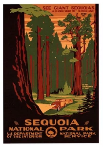 Vintage Postkarte Mammutbaum Nationalpark Kalifornien Riesenbäume WPA Ranger Poster  - Bild 1 von 2