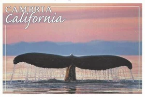 Cambria CA Whale Fluke Sunset Postcard 6" x 4" Free Ship New Lantern Press - Picture 1 of 2