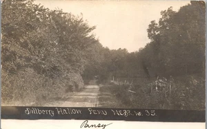Dillberry Hallow, Peru, Nebraska RPPC (1909) Dirt Road View - Bild 1 von 3
