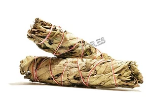 Paquete de incienso mancha yerba Santa NessaStores 8""-9"" (2 piezas) #JC-88 - Imagen 1 de 5