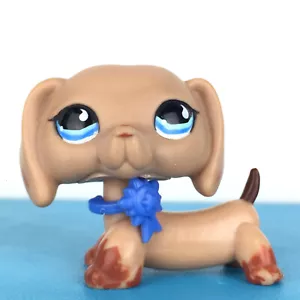 Authentic Littlest Pet Shop #518 Dachshund Dog / Original Hasbro LPS - Imagen 1 de 4