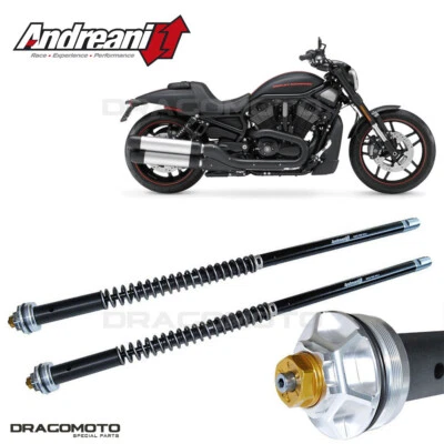 HARLEY-DAVIDSON V-Rod Night Rod Special / VRSCDX 2008-2017 cartuccia ANDREANI... Foto 1 de 4