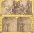 3 Stereoview 1870 Scenery Of The Northern Central Railway Watkins Glen N Y  #7