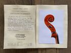 Violoncello antico Mario GADDA Mantova 1979 Certificate old Italian cello 