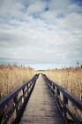 Wooden Boardwalk Photo Photograph Laminated Dry Erase Sign Poster 24x36