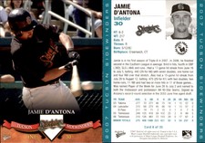 Jamie D'Antona 2007 MultiAd Tucson Sidewinders #7 Card *AutographDen*